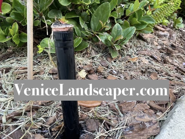 Sprinkler Repairs Venice FL